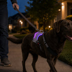 USB-C Rechargeable LED Dog Harness (Reflective Mesh)