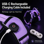 USB-C Rechargeable LED Dog Harness (Reflective Mesh)