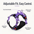 USB-C Rechargeable LED Dog Harness (Reflective Mesh)