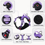 USB-C Rechargeable LED Dog Harness (Reflective Mesh)