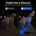 USB-Rechargeable LED Dog Leash (4.9 ft)