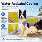 Water-Activated & Breathable Dog Cooling Vest (Ice Pack Pocket)