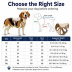Water-Activated Cooling & Breathable Mesh Dog Vest