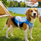 Water-Activated Cooling & Breathable Mesh Dog Vest