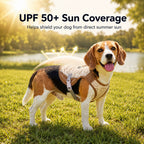 Water-Activated Cooling & Breathable Mesh Dog Vest
