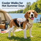 Water-Activated Cooling & Breathable Mesh Dog Vest