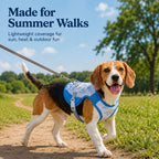Water-Activated Cooling & Breathable Mesh Dog Vest