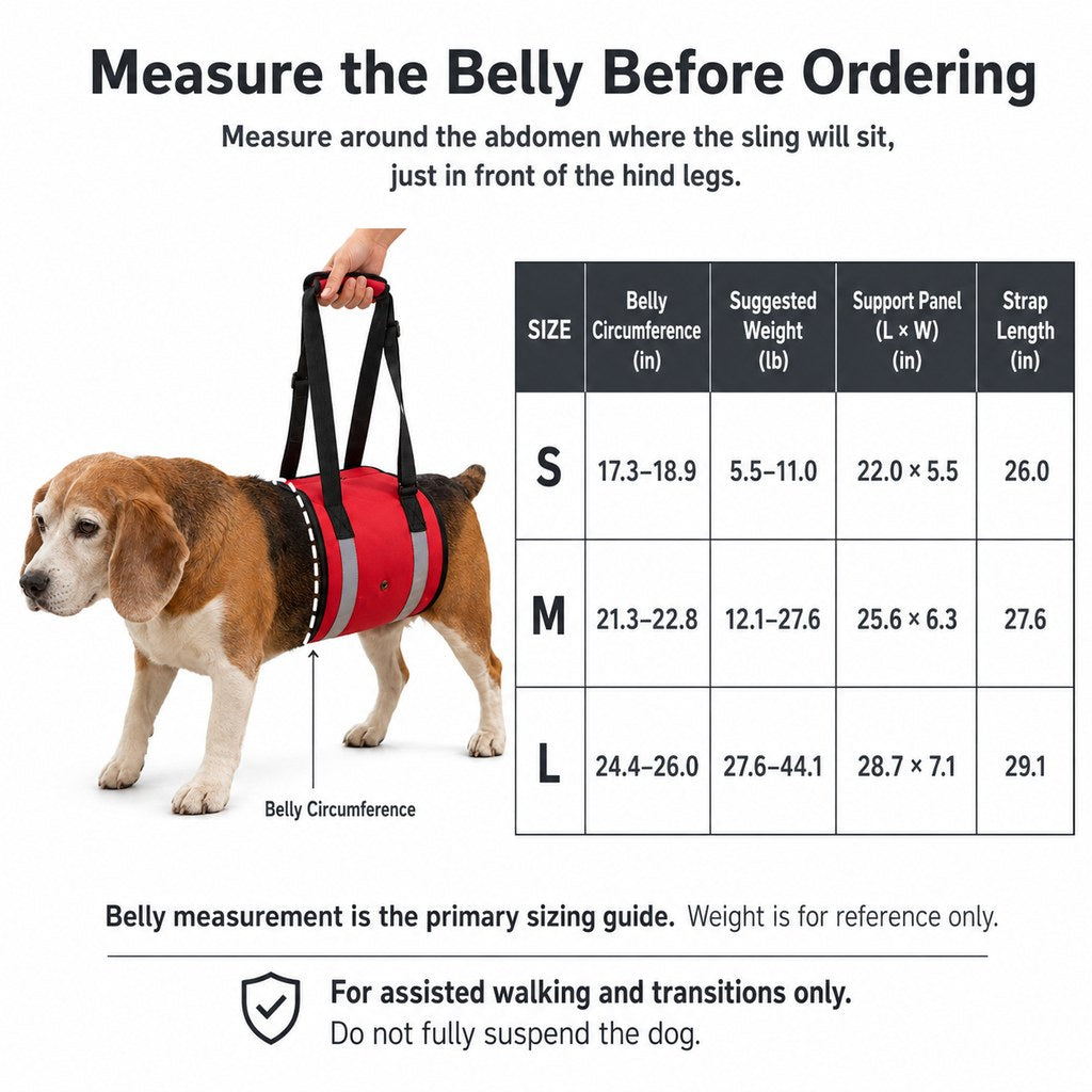 Wide EVA-Cushioned Belly Support Dog Lift Sling (Adjustable Straps)
