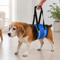 Wide EVA-Cushioned Belly Support Dog Lift Sling (Adjustable Straps)