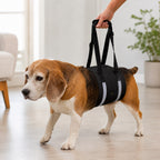 Wide EVA-Cushioned Belly Support Dog Lift Sling (Adjustable Straps)