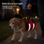 Wide EVA-Cushioned Belly Support Dog Lift Sling (Adjustable Straps)
