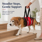 Wide EVA-Cushioned Belly Support Dog Lift Sling (Adjustable Straps)