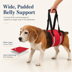 Wide EVA-Cushioned Belly Support Dog Lift Sling (Adjustable Straps)