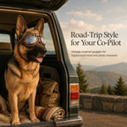 Wind & Dust-Resistant Adjustable Dual-Strap Dog Goggles (Retro Aviator)