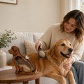 Wooden Pet Fur Keepsake Box (Acrylic Window, Heart-Shaped Top)
