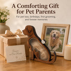 Wooden Pet Fur Keepsake Box (Acrylic Window, Heart-Shaped Top)