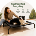 DogBedHouse Elevated Breathable Mesh & Canopy Shade Dog Bed