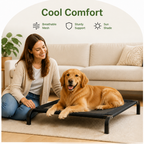 DogBedHouse Elevated Breathable Mesh Dog Bed (Foldable Canopy)
