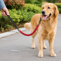 DogBedHouse Elastic Shock-Absorbing Nylon Leash Buffer