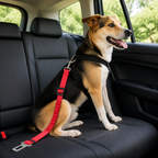 DogBedHouse Durable Nylon & Metal Hardware Dog Car Seat Belt