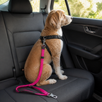 DogBedHouse Adjustable Durable Nylon Dog Leash (Quick-Release)