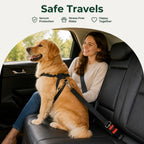 DogBedHouse Adjustable Nylon & Zinc Alloy Car Seat Belt