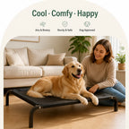 DogBedHouse Elevated & Foldable Canopy Dog Bed